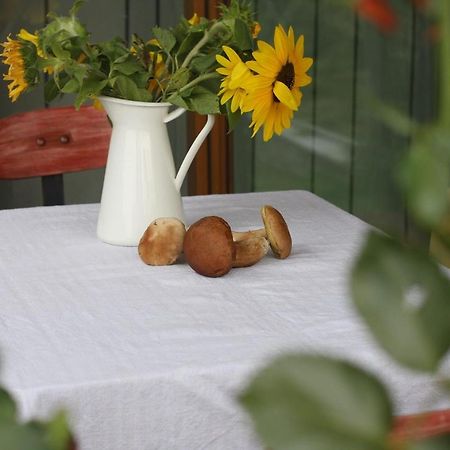 Holiday Home Trnavsko Bogojina Екстер'єр фото