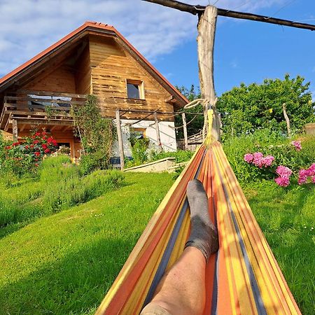 Holiday Home Trnavsko Bogojina Екстер'єр фото