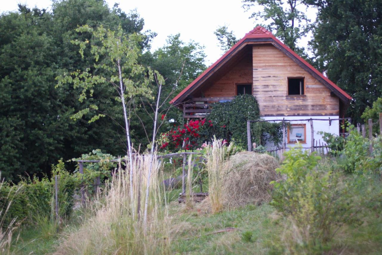 Holiday Home Trnavsko Bogojina Екстер'єр фото