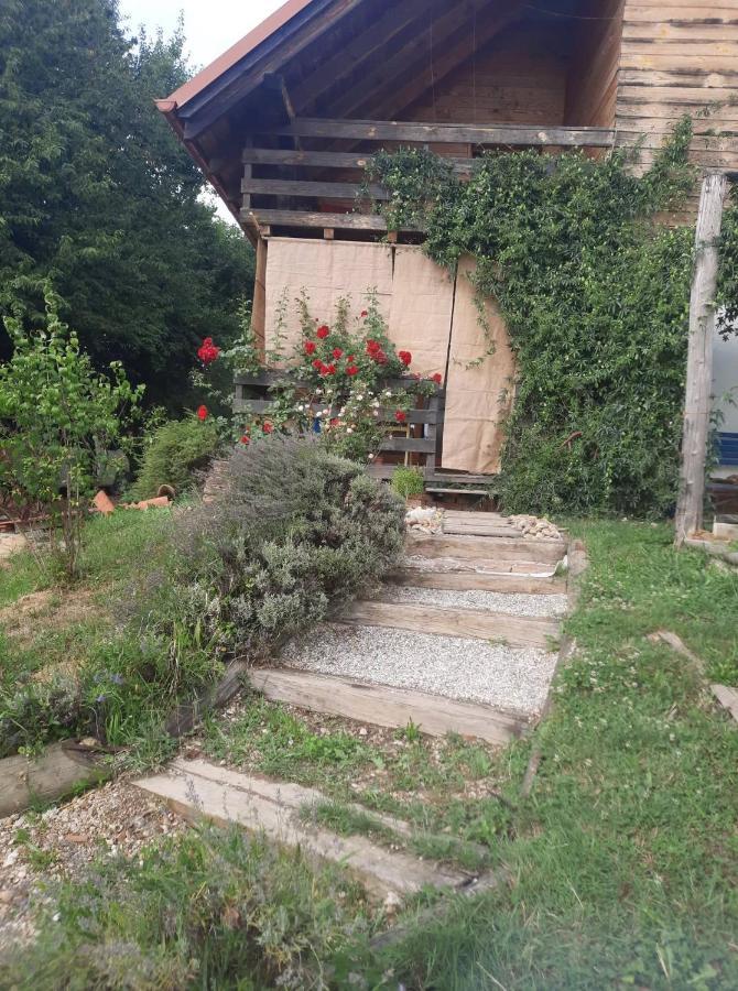 Holiday Home Trnavsko Bogojina Екстер'єр фото