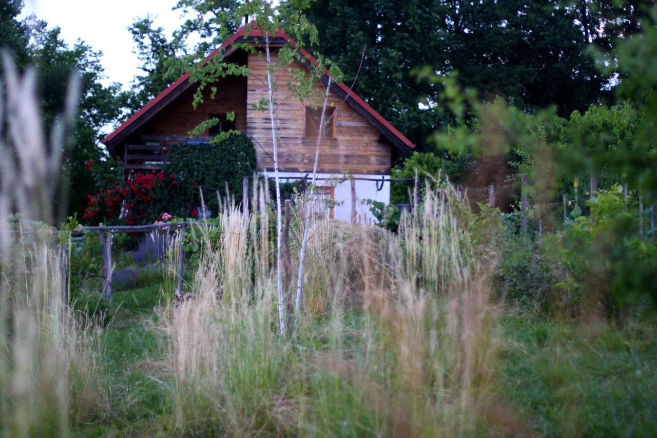 Holiday Home Trnavsko Bogojina Екстер'єр фото
